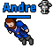 Andre