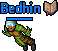 Bedhin