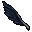 Black Feather