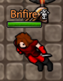 Brifire