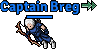 Captain Breg