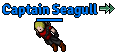 Captain Seagull