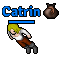 Catrin