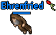 Ehrenfried