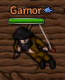 Garnor