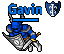 Gavin