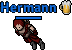 Hermann