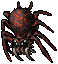 Huntsman Spider