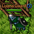 Luana Guard