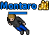 Montaro