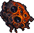 Norae