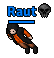 Raut