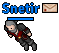 Snetir