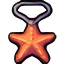 Starfish Amulet