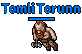Tomli Torunn