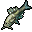 Trout