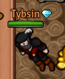 Tybsin