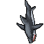 White Shark