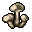 Wood Mushroom