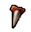 Wormqueen tooth